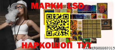 стафф Новодвинск