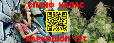 ешки Новозыбков