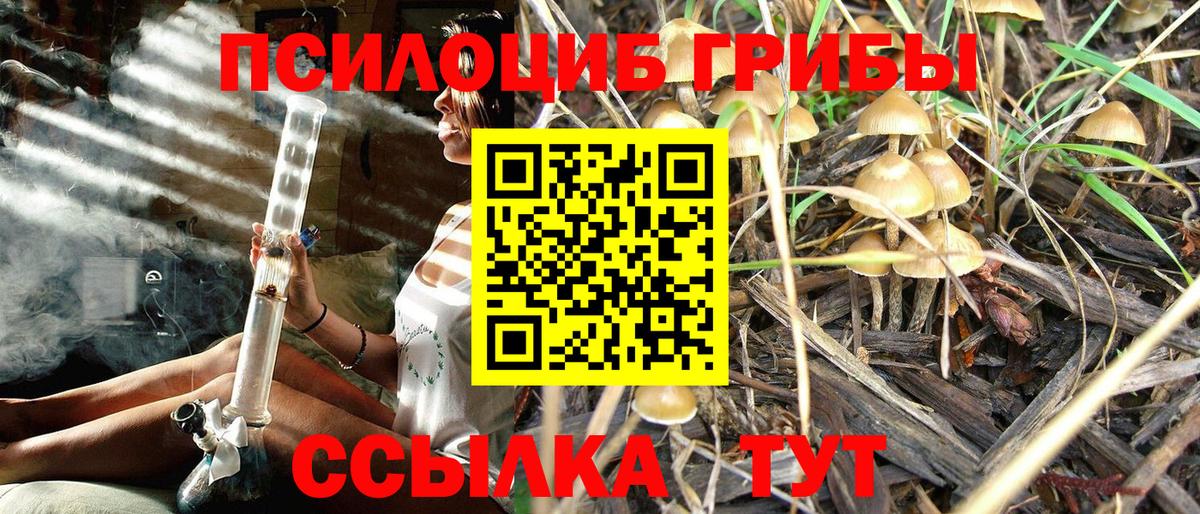 Псилоцибиновые грибы Psilocybine cubensis  Вход с VPN  Сосновый Бор 
